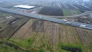 Teren 2727mp | Moara Vlasiei, Caciulati | A3 - imagine 4