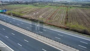 Teren 2727mp | Moara Vlasiei, Caciulati | A3 - imagine 2