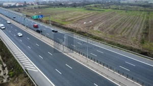 Teren 2727mp | Moara Vlasiei, Caciulati | A3 - imagine 3