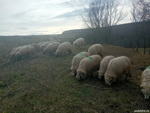 Marius David deschide