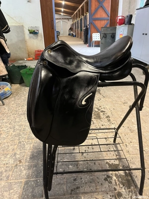 vand sa ptr. calarie dresaj pentru detalii sunati la tel.  