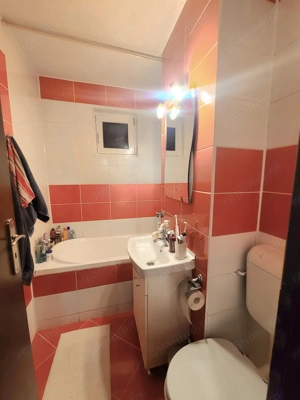 Vand 3 cam Dambu confort 1 - imagine 7