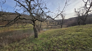 Teren extravilan langa lac, 8500mp, priveliste, acces, utilitati, zona Baciu - imagine 4