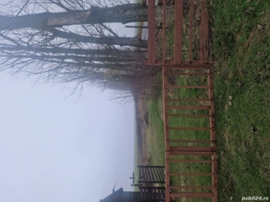 vand teren Gruiu Snagov - imagine 3