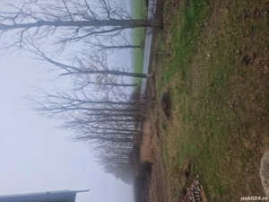 vand teren Gruiu Snagov - imagine 2