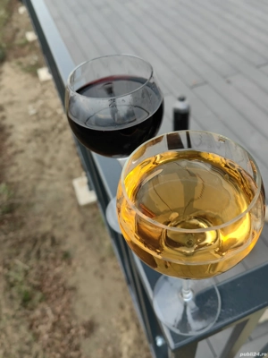 vin natural  - imagine 2