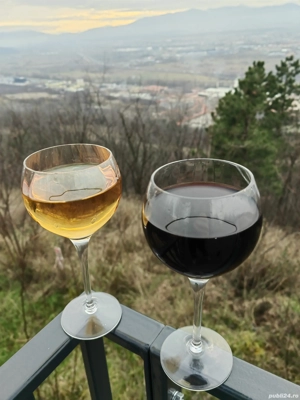 vin 100% bio fara sulfiti sau chimicale