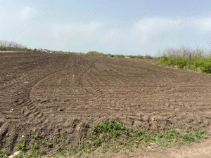 Vând teren intravilan arabil   5.000 mp   Tabărăști, com. Gălbinași, jud. Buzău - imagine 3