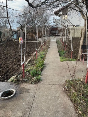 Agigea - Teren Intravilan - imagine 3