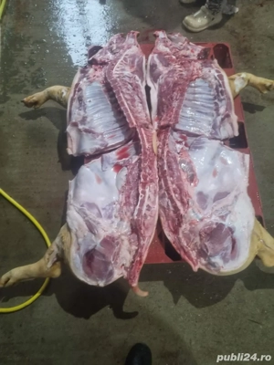 porci de carne - imagine 3
