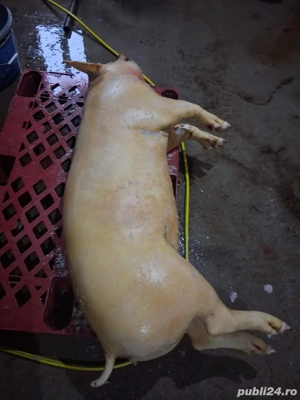 porci de carne - imagine 2