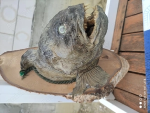 Pentru pescari iubitori 