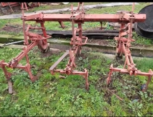 prasitor porumb cartofi - imagine 3