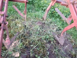 prasitor porumb cartofi - imagine 6