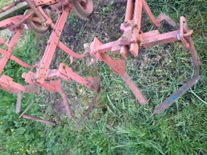 prasitor porumb cartofi - imagine 4