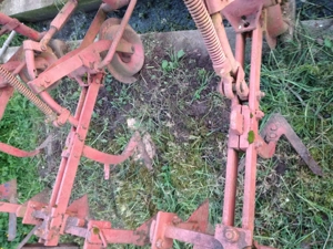 prasitor porumb cartofi - imagine 5