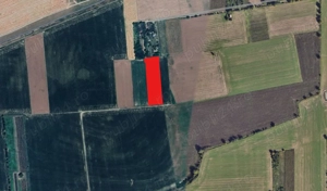 vand teren extravilan 38 arii intre Satu Mare si Vetis - imagine 5