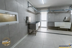 FILM! Ferma de iepuri,Malnas,Covasna: domeniu:comercial industrial,asset UE - imagine 6