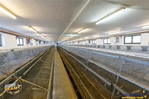 FILM! Ferma de iepuri,Malnas,Covasna: domeniu:comercial industrial,asset UE - imagine 2