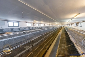 FILM! Ferma de iepuri,Malnas,Covasna: domeniu:comercial industrial,asset UE - imagine 9