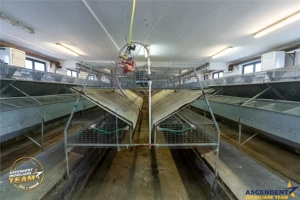 FILM! Ferma de iepuri,Malnas,Covasna: domeniu:comercial industrial,asset UE - imagine 5