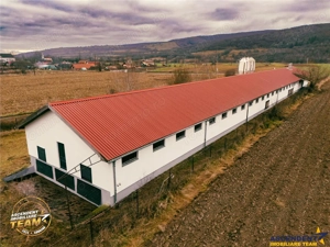 FILM! Ferma de iepuri,Malnas,Covasna: domeniu:comercial industrial,asset UE - imagine 3