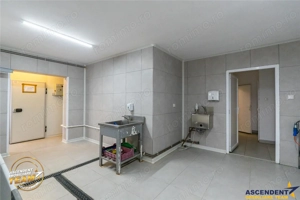 FILM! Ferma de iepuri,Malnas,Covasna: domeniu:comercial industrial,asset UE - imagine 4