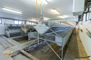 FILM! Ferma de iepuri,Malnas,Covasna: domeniu:comercial industrial,asset UE - imagine 19