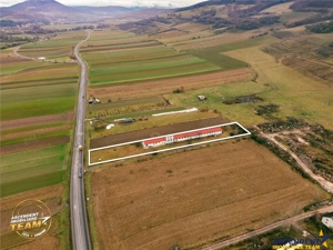 FILM! Ferma de iepuri,Malnas,Covasna: domeniu:comercial industrial,asset UE - imagine 11