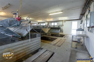 FILM! Ferma de iepuri,Malnas,Covasna: domeniu:comercial industrial,asset UE - imagine 12