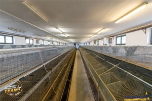 FILM! Ferma de iepuri,Malnas,Covasna: domeniu:comercial industrial,asset UE - imagine 16