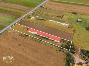 FILM! Ferma de iepuri,Malnas,Covasna: domeniu:comercial industrial,asset UE - imagine 15