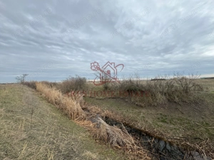 Teren 5.000 mp centura Calea Sagului- Freidorf. Comision 0 - imagine 4