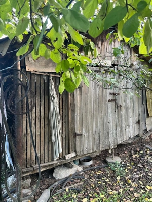 Galbinasi - jud. Calarasi, casa vanzare - imagine 11