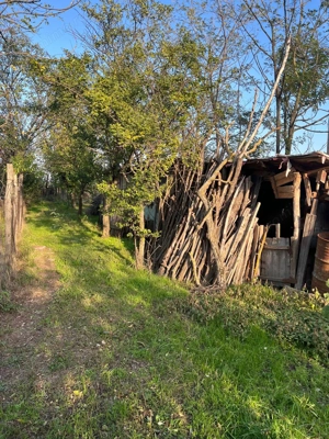 Galbinasi - jud. Calarasi, casa vanzare - imagine 16