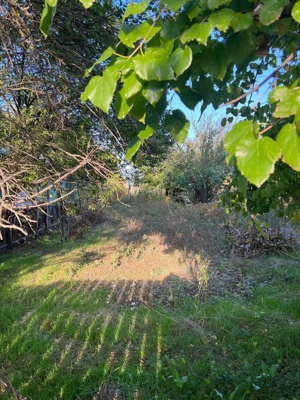 Galbinasi - jud. Calarasi, casa vanzare - imagine 15