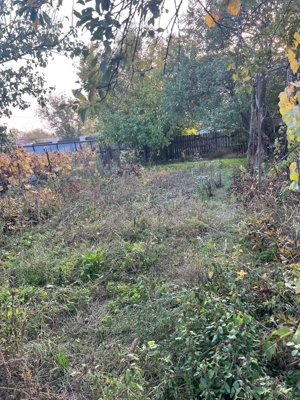 Galbinasi - jud. Calarasi, casa vanzare - imagine 17