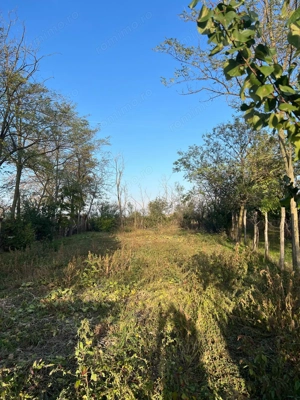 Galbinasi - jud. Calarasi, casa vanzare - imagine 13