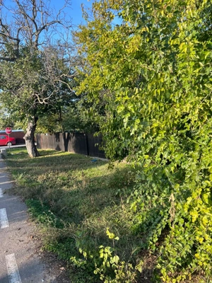 Galbinasi - jud. Calarasi, casa vanzare - imagine 18