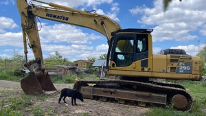 Excavator Komatsu PC 290 LC 8 Demolition