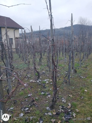 Tautii Magherausi strada 14, loc de casa perfect !