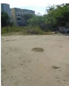 Teren intravilan  1.151 m.p. Constanta- de vanzare   pret 700.000 Euro   Zona Plaja Reyna - imagine 11