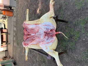 Carcasă de porc  - imagine 3