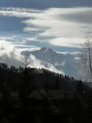 Apartament 2 camere Trei Brazi