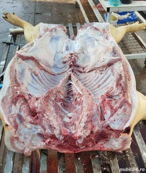 vând carcasă porc  - imagine 2