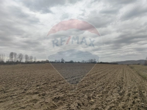 Teren lacul Surduc - Fardea - imagine 9