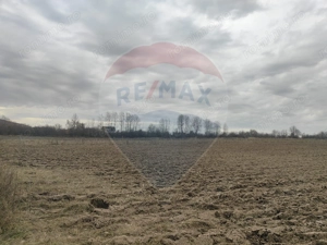 Teren lacul Surduc - Fardea - imagine 8