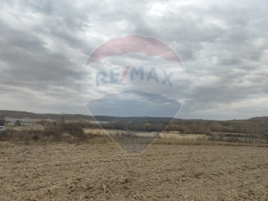 Teren lacul Surduc - Fardea - imagine 7