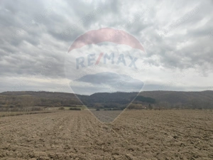 Teren lacul Surduc - Fardea - imagine 4