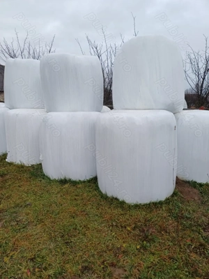 De vanzare Baloti Lucerna 